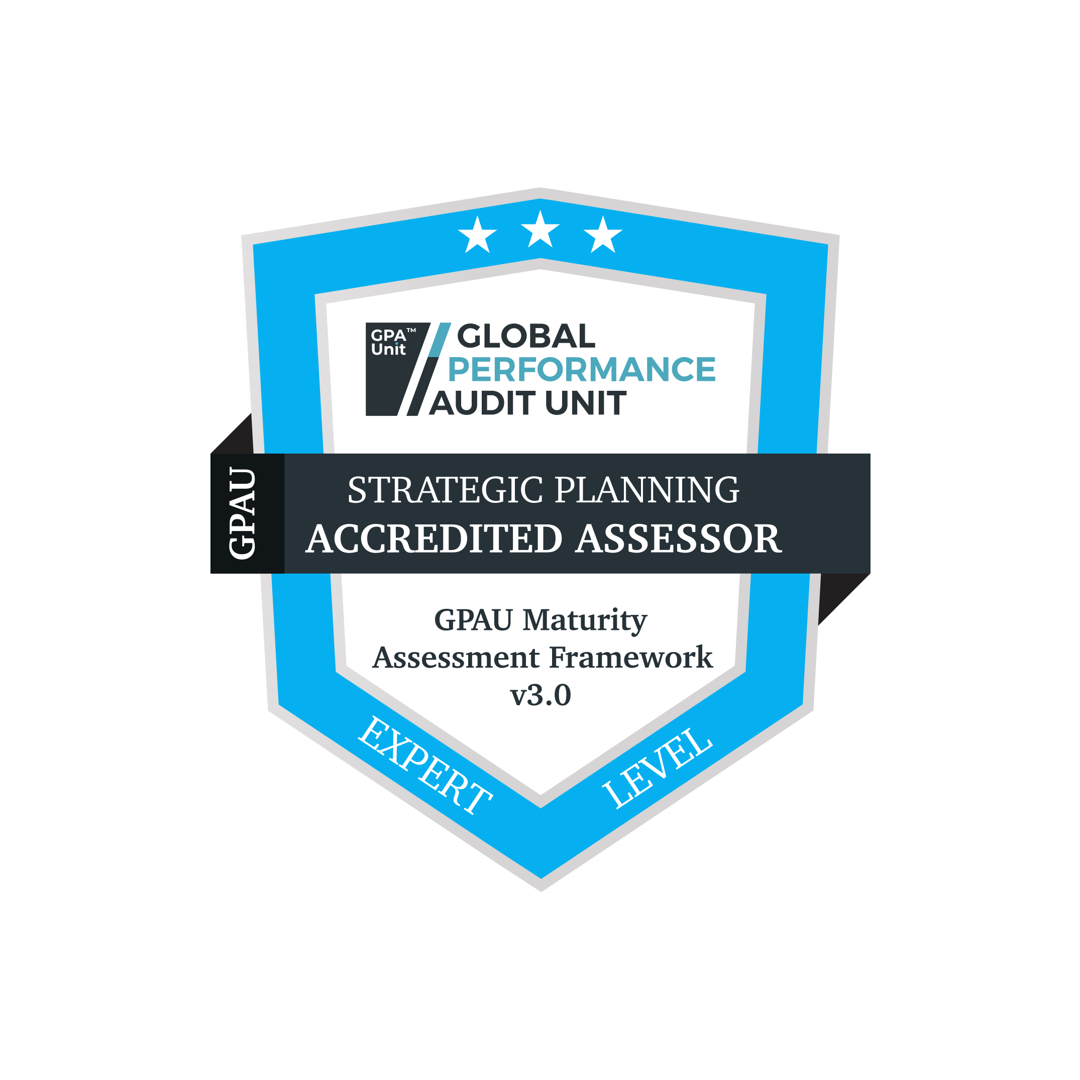 Accredited Assessor Badges 01 Strategic Planning 03 Expert Level badge